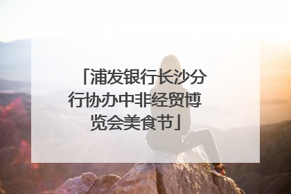 浦发银行长沙分行协办中非经贸博览会美食节
