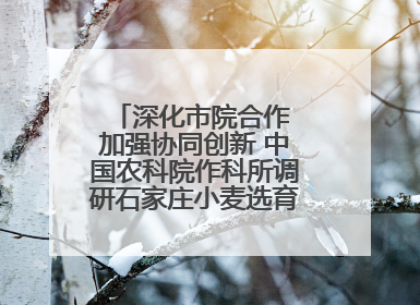 深化市院合作 加强协同创新 中国农科院作科所调研石家庄小麦选育种等工作