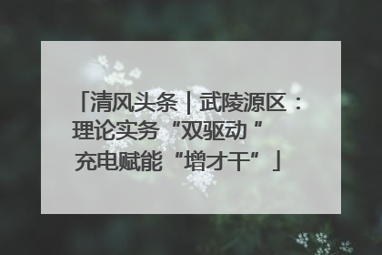 清风头条｜武陵源区：理论实务“双驱动 ” 充电赋能“增才干”