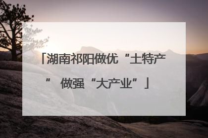 湖南祁阳做优“土特产” 做强“大产业”