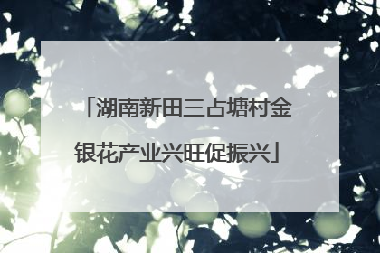 湖南新田三占塘村金银花产业兴旺促振兴