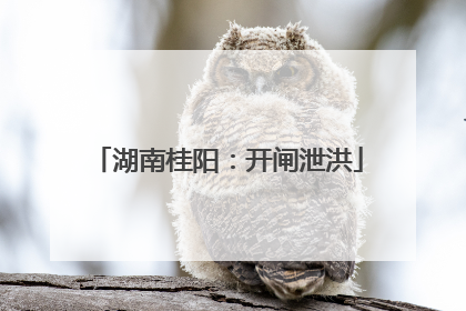 湖南桂阳：开闸泄洪