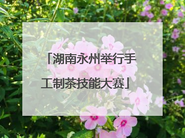 湖南永州举行手工制茶技能大赛