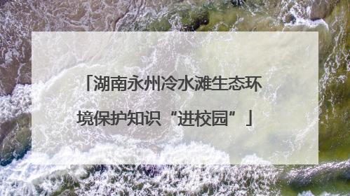 湖南永州冷水滩生态环境保护知识“进校园”