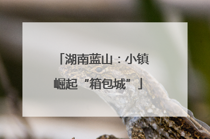 湖南蓝山：小镇崛起“箱包城”