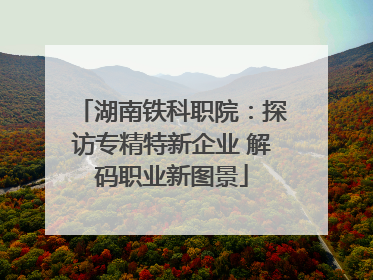 湖南铁科职院：探访专精特新企业 解码职业新图景