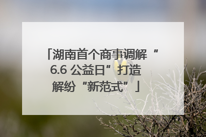 湖南首个商事调解“6.6 公益日”打造解纷“新范式”