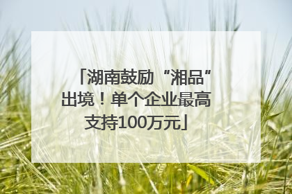 湖南鼓励“湘品”出境！单个企业最高支持100万元