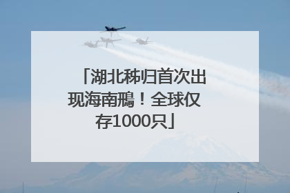湖北秭归首次出现海南鳽！全球仅存1000只