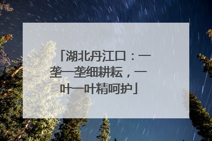 湖北丹江口：一垄一垄细耕耘，一叶一叶精呵护