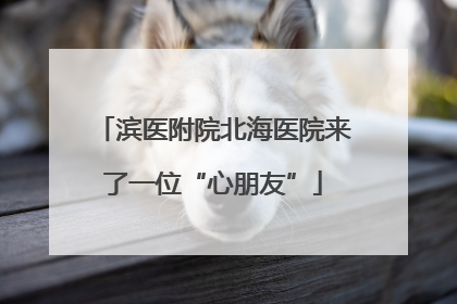 滨医附院北海医院来了一位“心朋友”