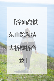 漳汕高铁东山跨海特大桥栈桥合龙