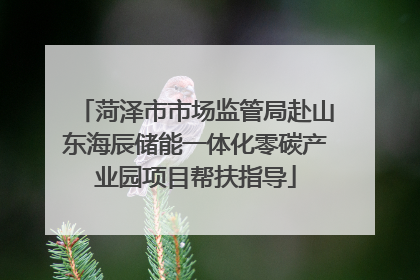 菏泽市市场监管局赴山东海辰储能一体化零碳产业园项目帮扶指导