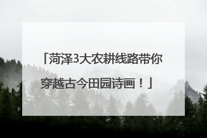 菏泽3大农耕线路带你穿越古今田园诗画！