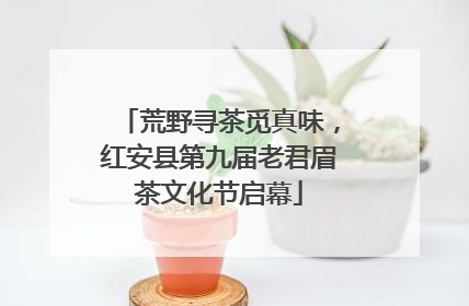 荒野寻茶觅真味，红安县第九届老君眉茶文化节启幕