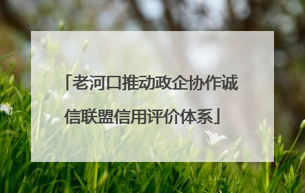 老河口推动政企协作诚信联盟信用评价体系