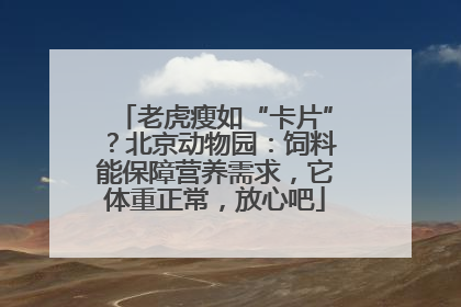 老虎瘦如“卡片”？北京动物园：饲料能保障营养需求，它体重正常，放心吧