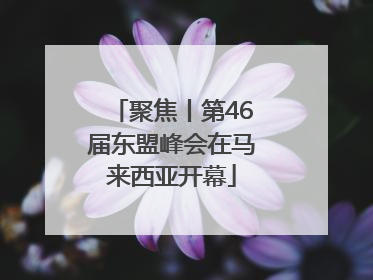 聚焦丨第46届东盟峰会在马来西亚开幕