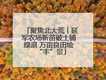 聚焦北大荒丨延军农场新苗破土铺绿浪 万亩良田绘“丰”景