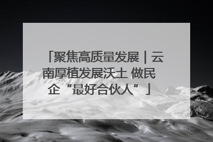 聚焦高质量发展｜云南厚植发展沃土 做民企“最好合伙人”