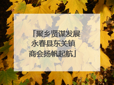 聚乡贤谋发展 永春县东关镇商会扬帆起航