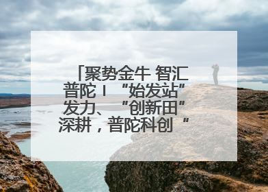 聚势金牛 智汇普陀〡“始发站”发力、“创新田”深耕，普陀科创“金牛”闪耀