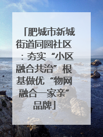 肥城市新城街道同圆社区：夯实“小区融合共治”根基做优“物网融合一家亲”品牌