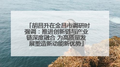 胡昌升在金昌市调研时强调：推进创新链与产业链深度融合 为高质量发展塑造新动能新优势