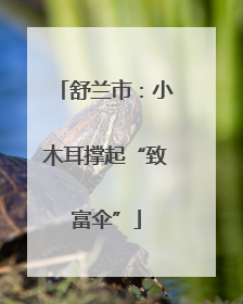 舒兰市：小木耳撑起“致富伞”