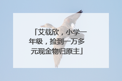 艾载欣，小学一年级，捡到一万多元现金物归原主