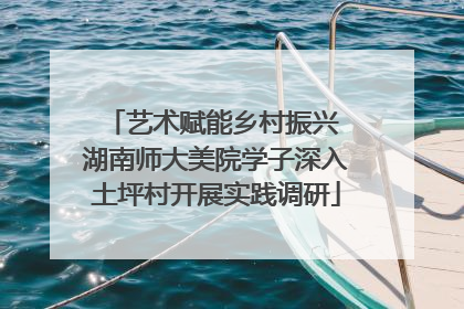 艺术赋能乡村振兴 湖南师大美院学子深入土坪村开展实践调研
