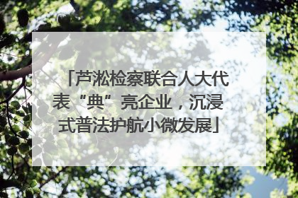 芦淞检察联合人大代表“典”亮企业，沉浸式普法护航小微发展