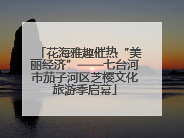 花海雅趣催热“美丽经济”——七台河市茄子河区芝樱文化旅游季启幕