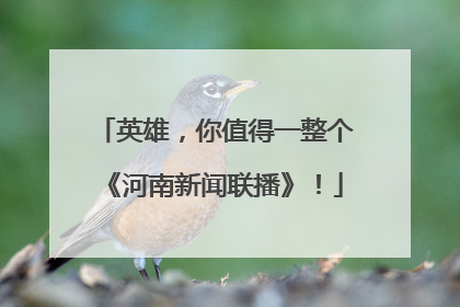 英雄，你值得一整个《河南新闻联播》！