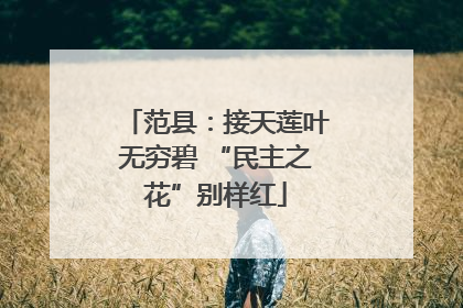 范县：接天莲叶无穷碧 “民主之花”别样红