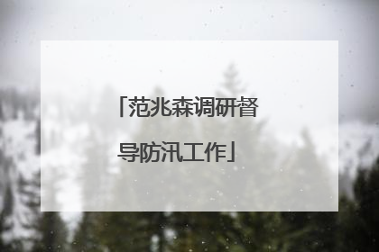 范兆森调研督导防汛工作