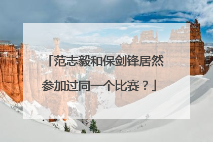 范志毅和保剑锋居然参加过同一个比赛？