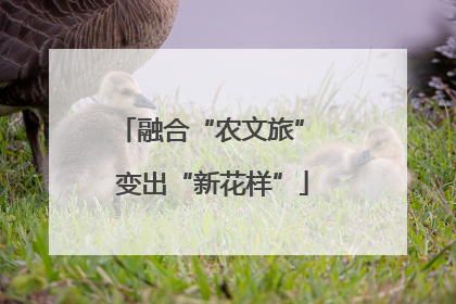 融合“农文旅” 变出“新花样”