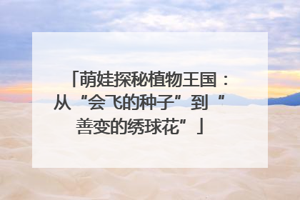 萌娃探秘植物王国：从“会飞的种子”到“善变的绣球花”