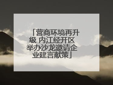 营商环境再升级 内江经开区举办沙龙邀请企业建言献策