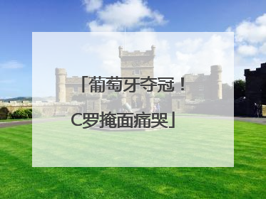 葡萄牙夺冠！C罗掩面痛哭