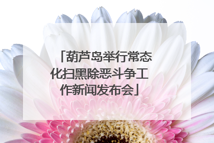 葫芦岛举行常态化扫黑除恶斗争工作新闻发布会