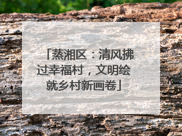 蒸湘区：清风拂过幸福村，文明绘就乡村新画卷