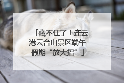 藏不住了！连云港云台山景区端午假期“放大招”