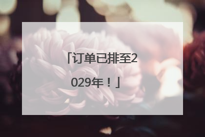 订单已排至2029年！