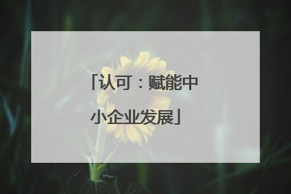 认可：赋能中小企业发展