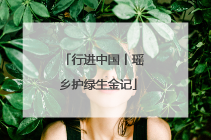 行进中国丨瑶乡护绿生金记
