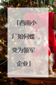 西南小厂如何蝶变为领军企业