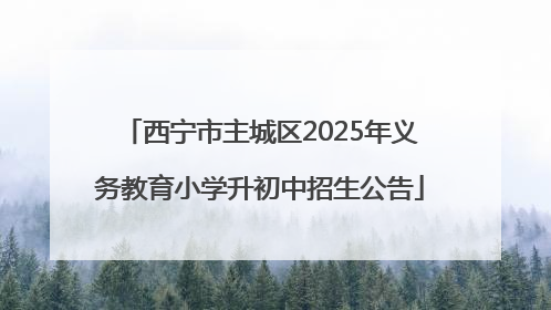 西宁市主城区2025年义务教育小学升初中招生公告