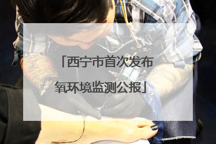 西宁市首次发布氧环境监测公报
